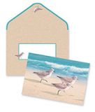 Boxed Notes - Sandpipers