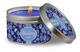 Travel Candle - Blueberry