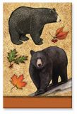 Souvenir Magnet - Bear Collage