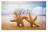 Souvenir Magnet - Friendly Starfish
