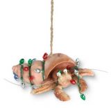 Resin Ornament - Hermit Crab with Lights