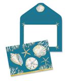Boxed Notes - Playa Seashells