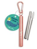 Reuasble Straw with Case - Mermaid