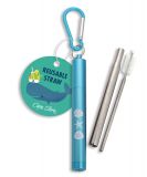 Reusable Straw with Case - Shells