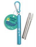 Reusable Straw with Case - Turtle