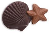 Candy - Chocolate - Shells