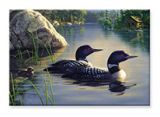 Tin Magnet - Tranquil Moment Loon