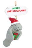 Resin Ornament - Manatee with Present