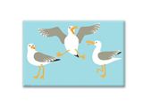 Tin Magnet - Seagulls
