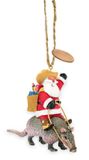 Resin Ornament - Santa Armadillo
